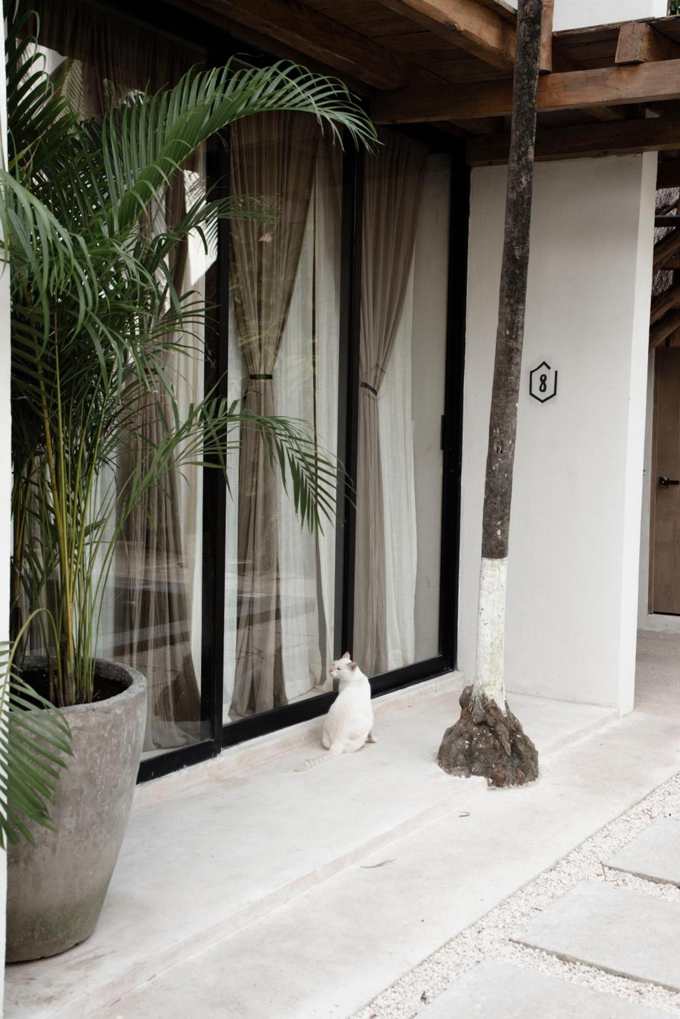 Tuup Tulum Hotel Buitenkant foto